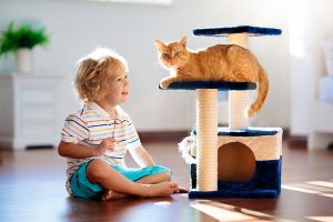 Young child playing with a cat on a cat tree in a home's living room.