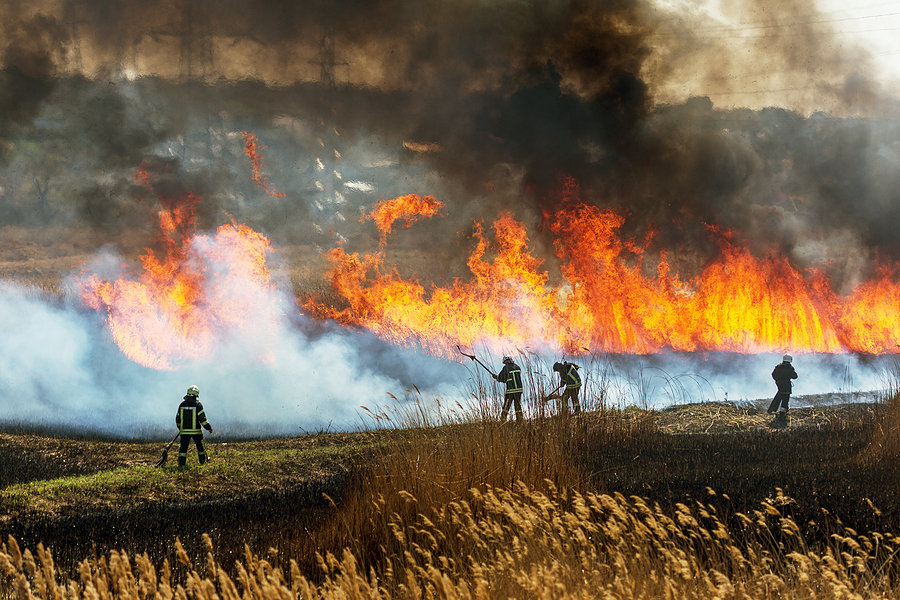 Firefighters battling a fire and wildfire smoke impacting the environment.