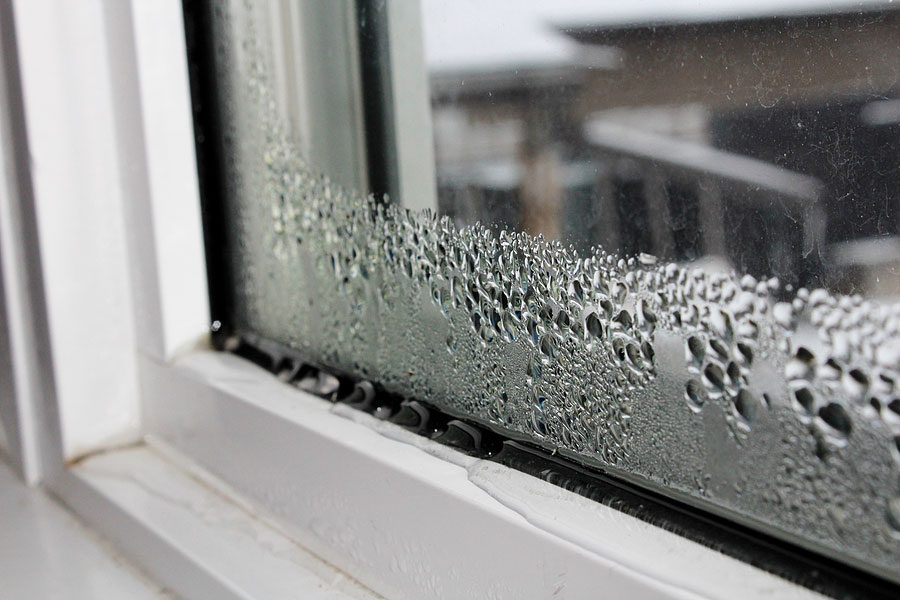 Condensation building up on the interior of a home's window due to humidity issues.